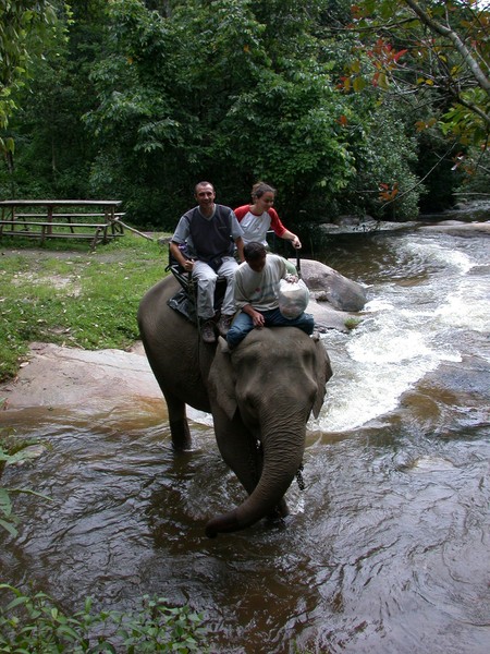 Elephant Ride